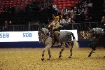 Quadrille - 00910